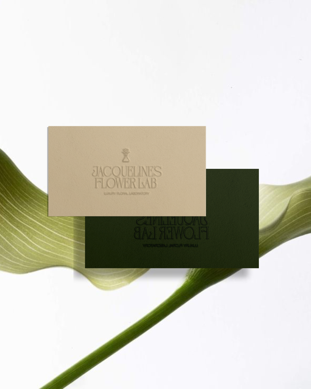 Business Card Design